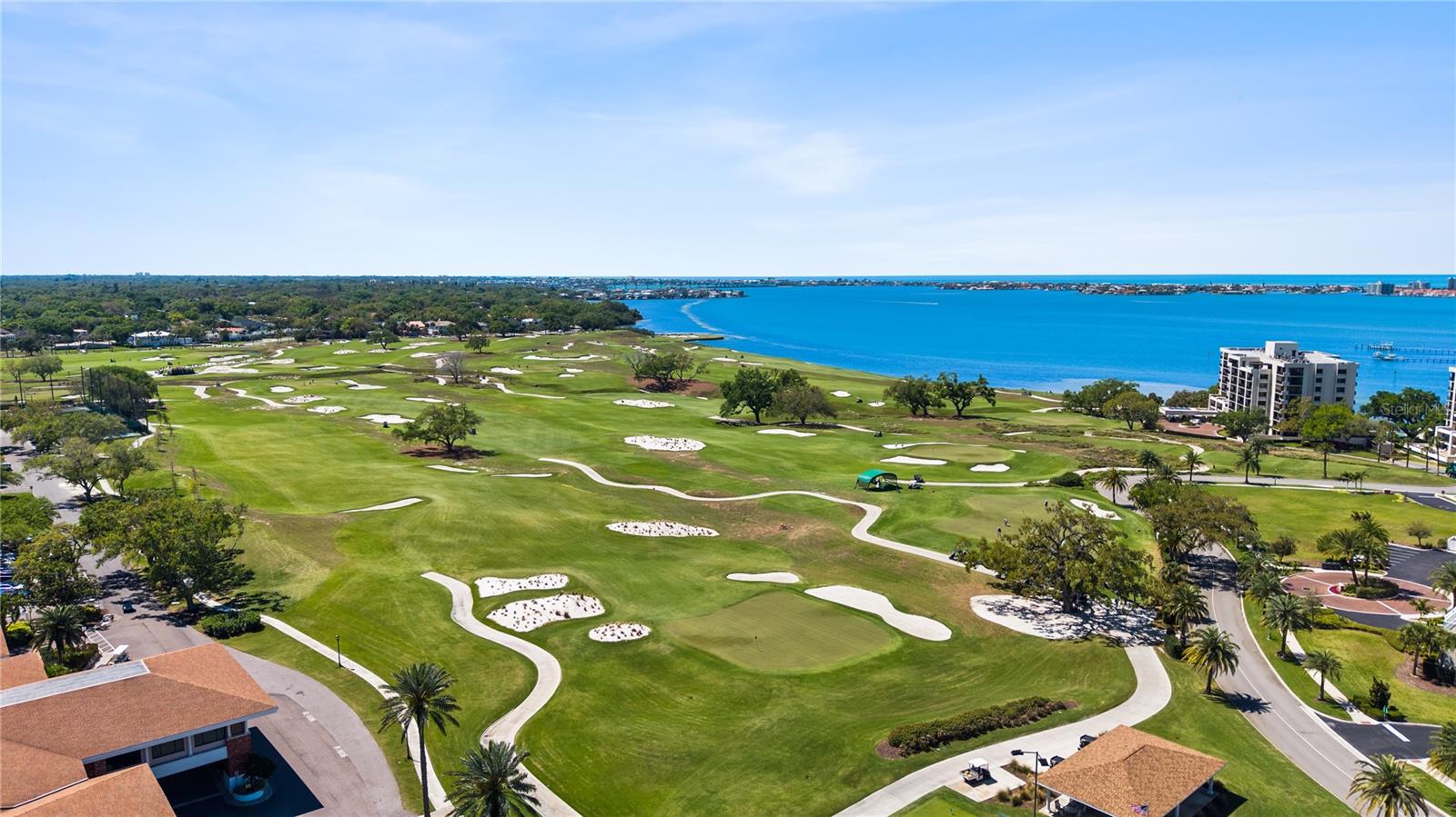 CARRIAGE HOMES AT BELLEVIEW PLACE CONDO - Residential