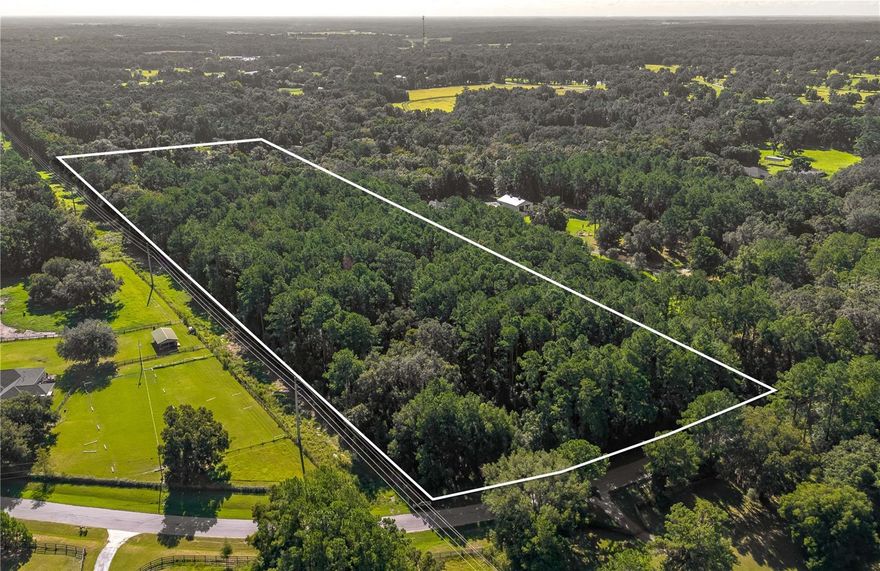 Set in the heart of Marion County’s renowned horse country, this 10.76-acre parcel in the deed-restricted Saddle Hill neighborhood offers an exceptional opportunity to create a custom farm from the ground up. Zoned A-1 and ideally located just minutes from Sweet Dixie South and Majestic Oaks, this property is perfectly positioned for those immersed in the equestrian lifestyle. Both HITS and the World Equestrian Center (WEC) are located just a short drive away, opening up even more opportunities to compete and experience the area’s vibrant show scene. Currently wooded, the land provides remarkable flexibility in planning both your residence and working facilities. Whether you envision a shaded homesite tucked among the trees or open pasture for turnout and training, the natural contours and canopy allow you to shape the space to fit your vision. Several potential sites lend themselves well to a future barn, arena, or custom-built home. Peaceful and private, yet surrounded by a community of dedicated horsemen, Saddle Hill blends rural charm with thoughtful planning, ensuring the integrity of your investment and the lifestyle you seek. With abundant space to design stables, paddocks, and trails, this property is more than just acreage– it’s a foundation for your equestrian legacy!