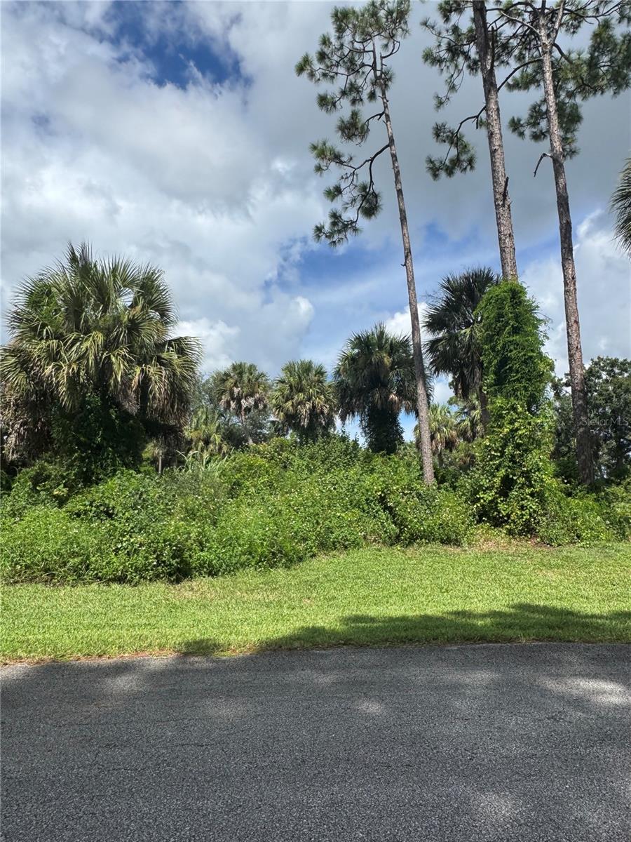 Build your dream home on this 0.41-acre lot in Port Malabar. Zoned for single-family use and located in a non-flood zone, this parcel offers peace of mind and investment potential. Conveniently close to schools, shopping, dining, and just a short drive to the beaches of the Space Coast, it's a blank canvas ready for your vision!