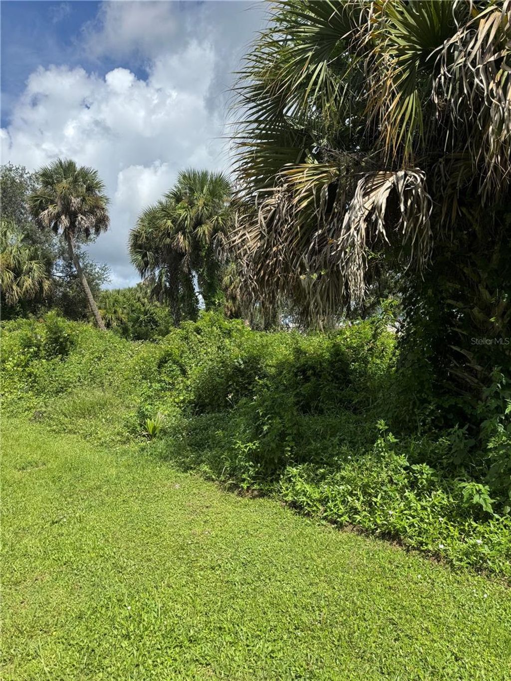 Photo of 101 Tudor Road SW, Palm Bay, FL 32908 (MLS # O6342897)