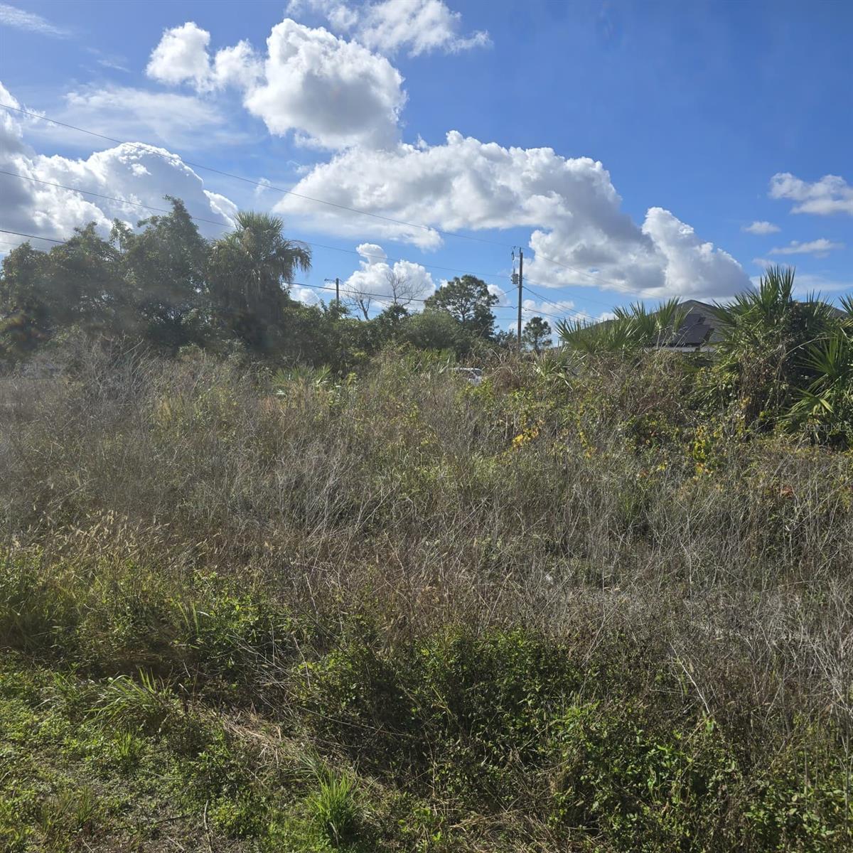 LEHIGH ACRES - Land