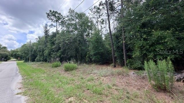 Photo of 3223 E Scofield St, Inverness, FL 34453 (MLS # TB8514996)