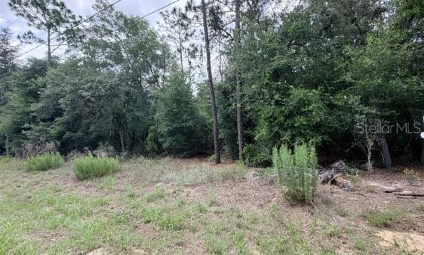 Photo of 3223 E Scofield St, Inverness, FL 34453 (MLS # TB8514996)