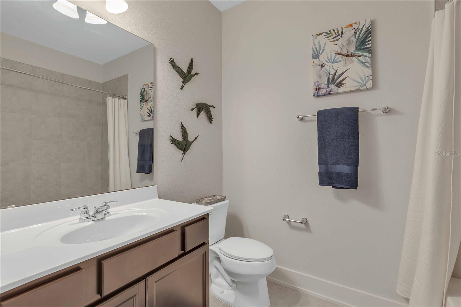 SILVERLEAF/CHERRY ELM - Residential