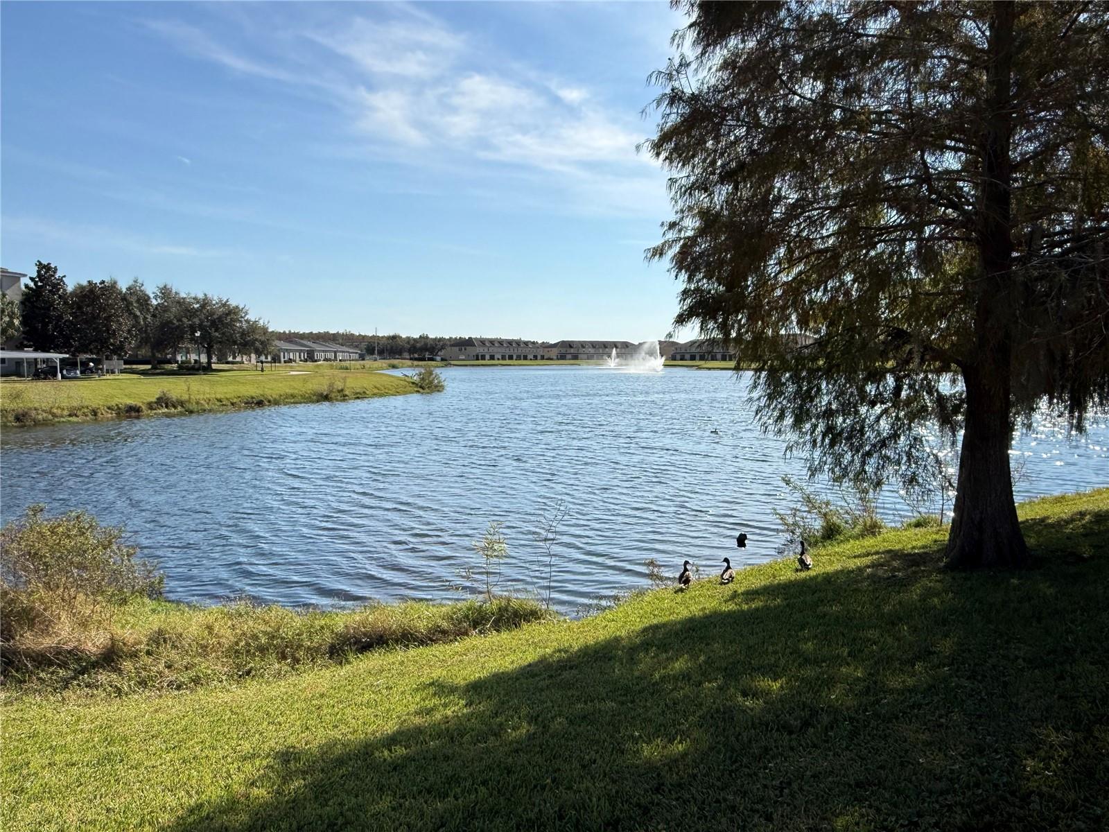 FLORA RIDGE CONDO PH 10 BLDG 4 - Residential