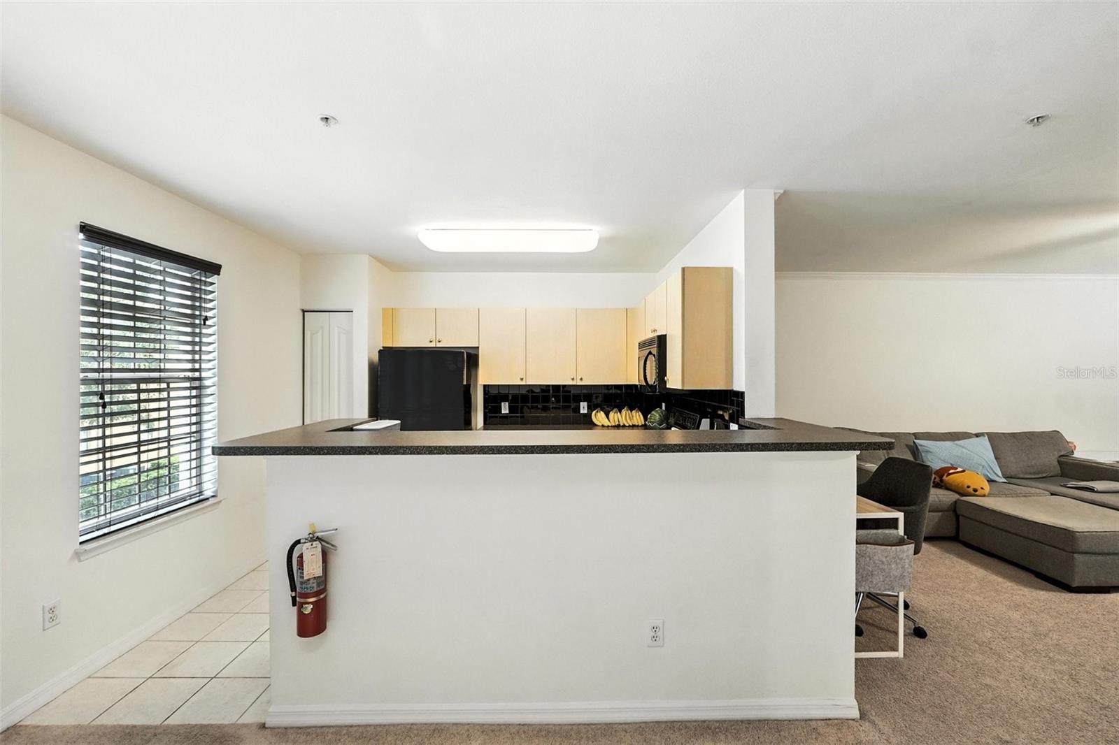 SIENA AT CELEBRATION CONDO B - Residential Lease