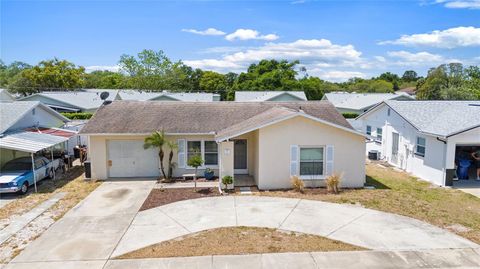 Photo of 11611 Nature Trail, Port Richey, FL 34668 (MLS # TB8500803)
