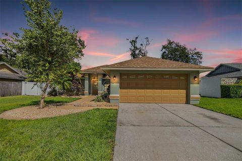 23526 PINE LAKE STREET LAND O LAKES FL 34639