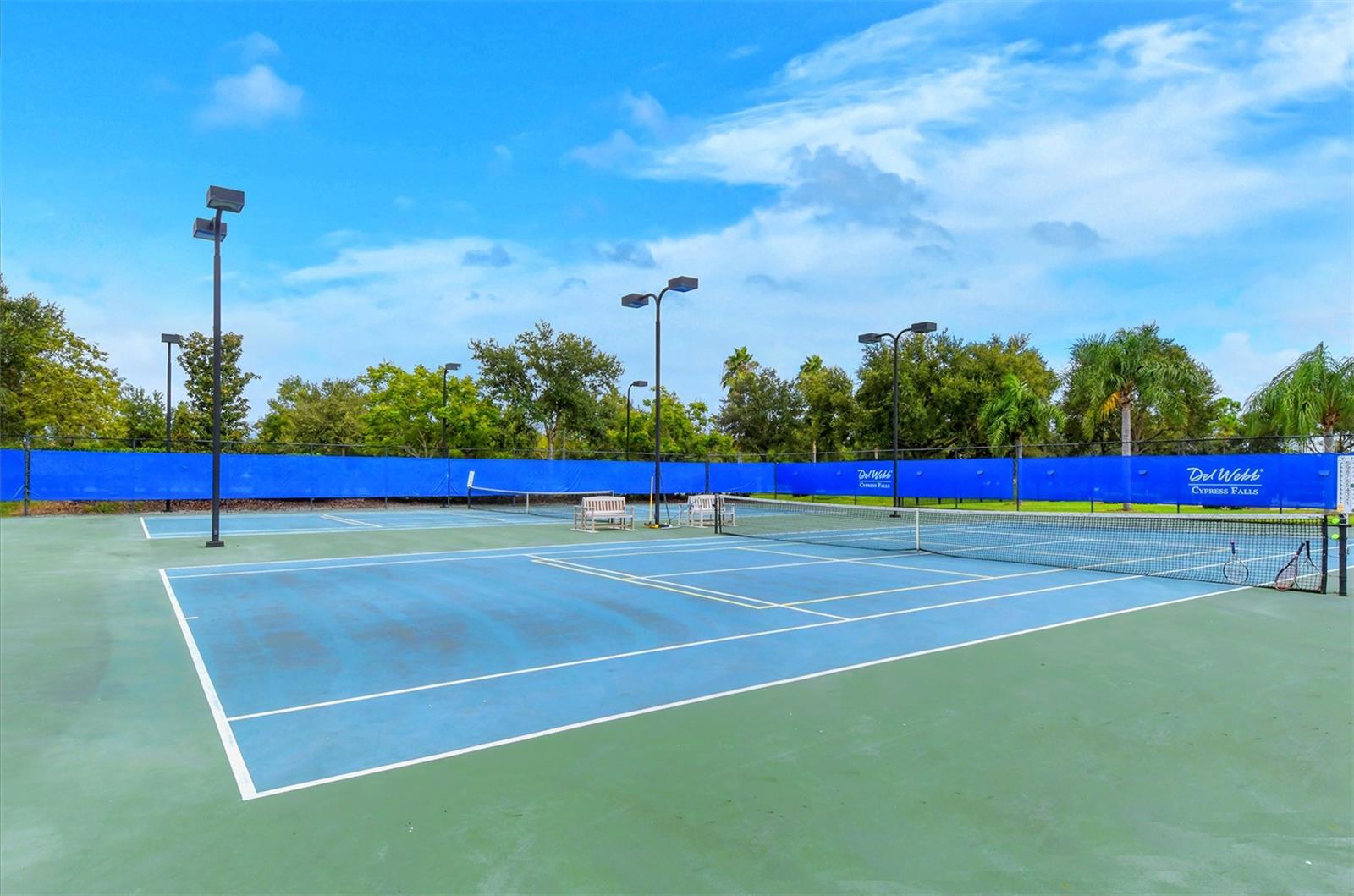 CYPRESS FALLS AT THE WOODLANDS - Residential