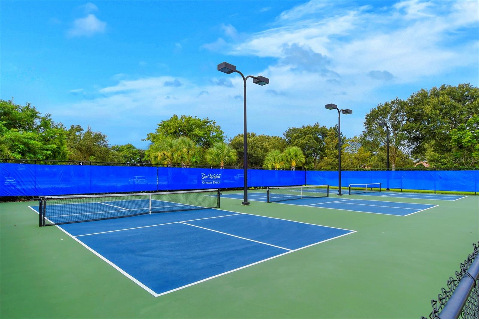 CYPRESS FALLS AT THE WOODLANDS - Residential