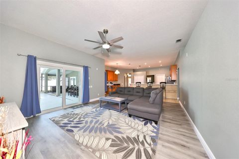 A home in APOLLO BEACH