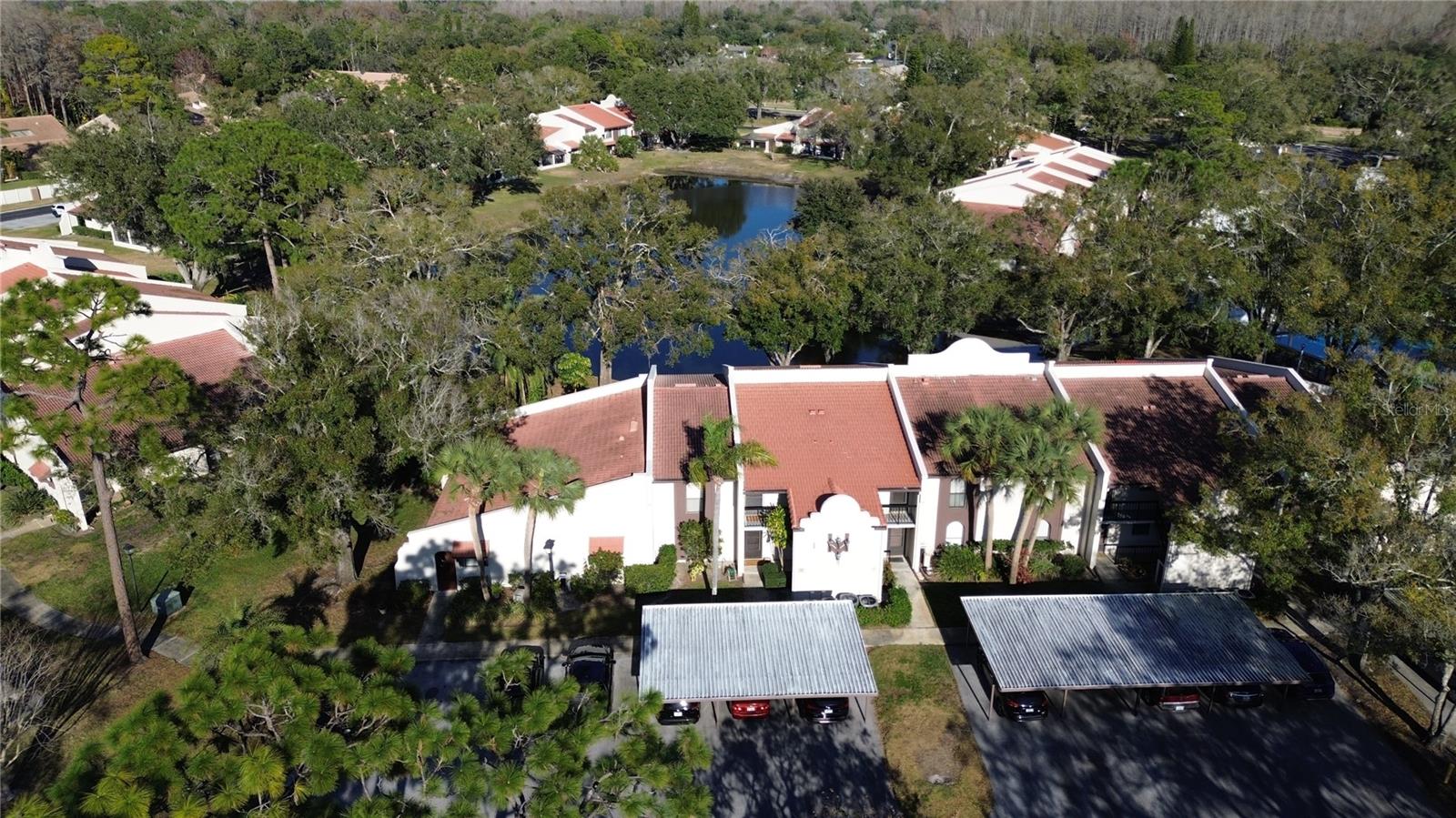 3505 TARPON WOODS BOULEVARD I-406