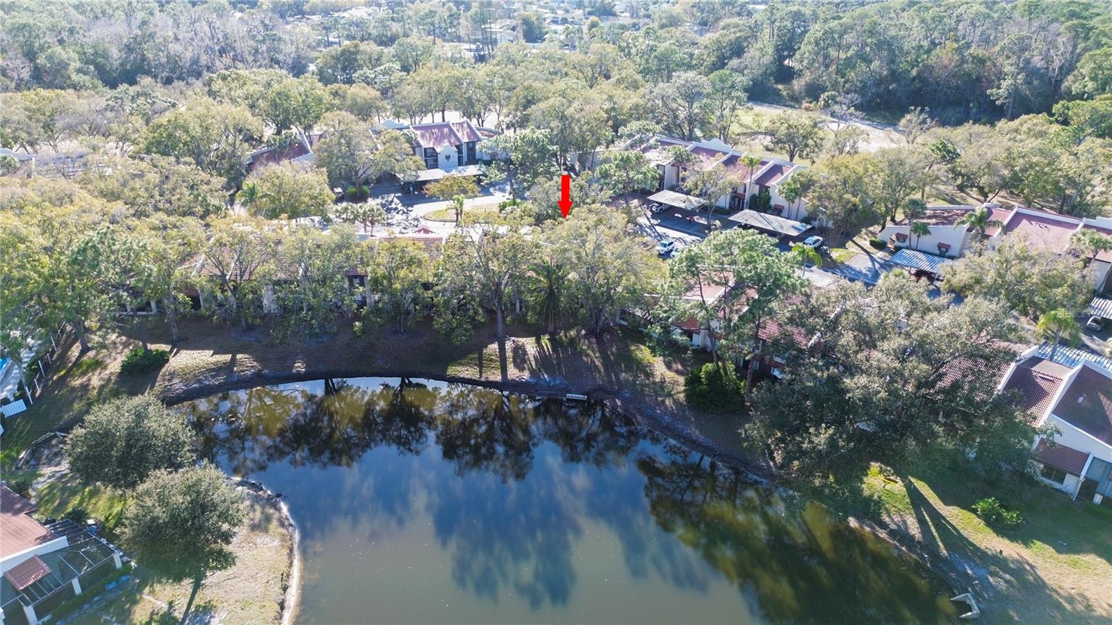 3505 TARPON WOODS BOULEVARD I-406