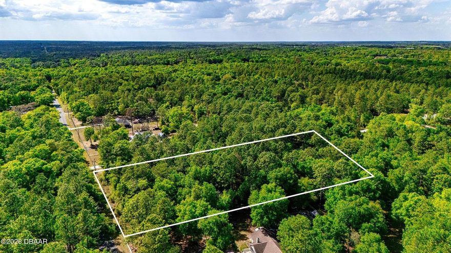 Discover this beautiful 2.42-acre wooded parcel in the desirable Lake Tropicana Ranchettes community of Dunnellon. Tucked away in a peaceful, established neighborhood, this spacious lot offers the perfect canvas for building your dream home in a serene country setting. Enjoy the privacy and natural beauty of mature trees and lush surroundings while still being conveniently located just a short drive from downtown Dunnellon, the crystal-clear Rainbow River, and all the outdoor recreation Central Florida has to offer. Whether you envision a custom-built home, a peaceful retreat, or a family estate, this property is ready for your vision. Lake Tropicana Ranchettes provides a relaxed lifestyle with easy access to shopping, dining, and major roads. Don't miss this rare opportunity to own a generous wooded lot in one of Dunnellon's most sought-after areas.

Discover this beautiful 2.42-acre wooded parcel in the desirable Lake Tropicana Ranchettes community of Dunnellon. Tucked away in a peaceful, established neighborhood, this spacious lot offers the perfect canvas for building your dream home in a serene country setting.

Enjoy the privacy and natural beauty of mature trees and lush surroundings while still being conveniently located just a short drive from downtown Dunnellon, the crystal-clear Rainbow River, and all the outdoor recreation Central Florida has to offer. Whether you envision a custom-built home, a peaceful retreat, or a family estate, this property is ready for your vision.

Lake Tropicana Ranchettes provides a relaxed lifestyle with easy access to shopping, dining, and major roads. Don't miss this rare opportunity to own a generous wooded lot in one of Dunnellon's most sought-after areas.