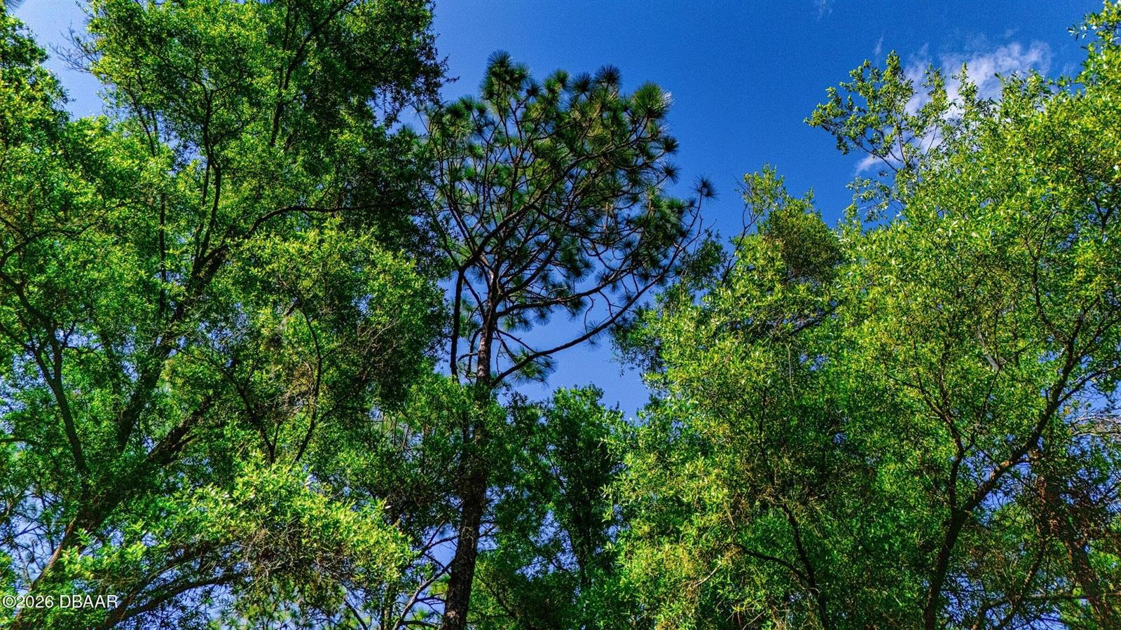 LAKE TROPICANA RANCHETTES UN 01 - Land