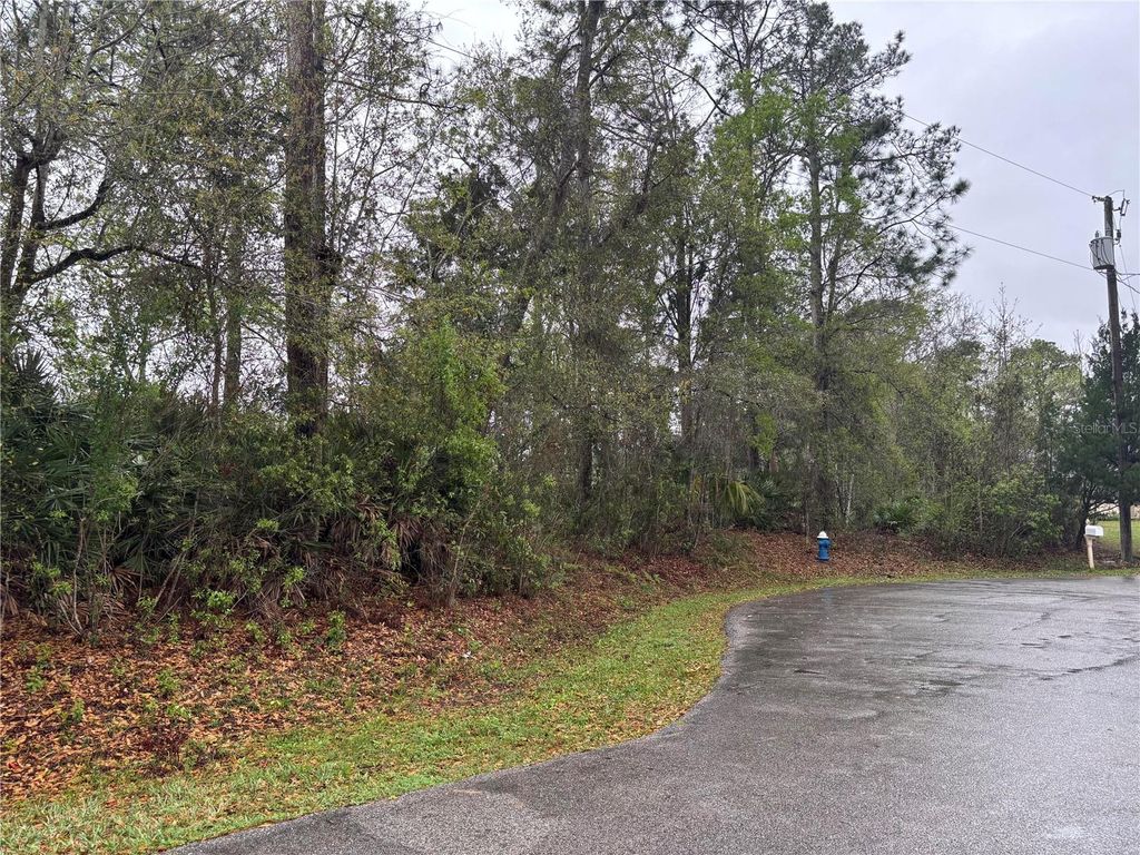 Photo of 5 Woodchuck Place, Palm Coast, FL 32164 (MLS # FC316892)