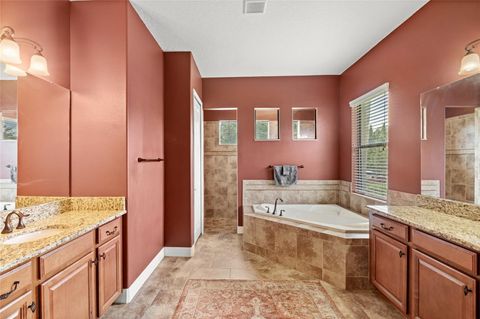 Tiny photo for 25448 High Hampton Circle, Sorrento, FL 32776 (MLS # O6347094)