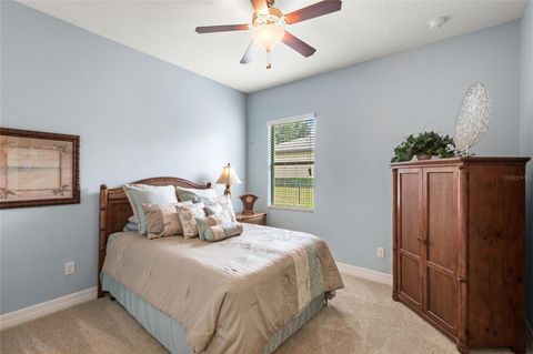 Tiny photo for 25448 High Hampton Circle, Sorrento, FL 32776 (MLS # O6347094)