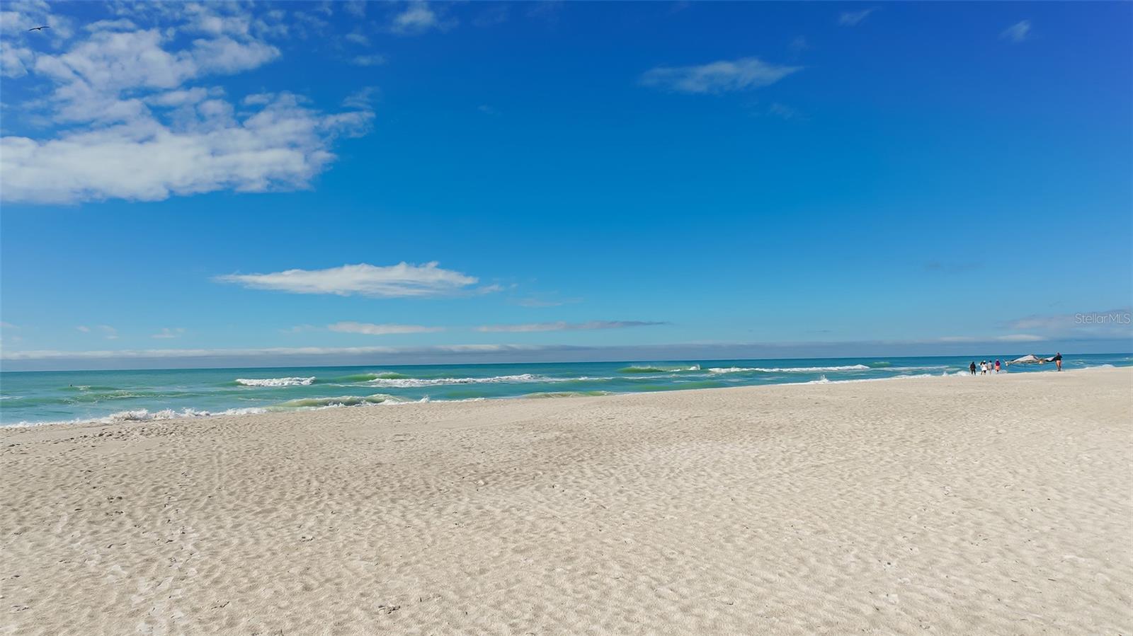 PALMA SOLA PARK - Residential Lease
