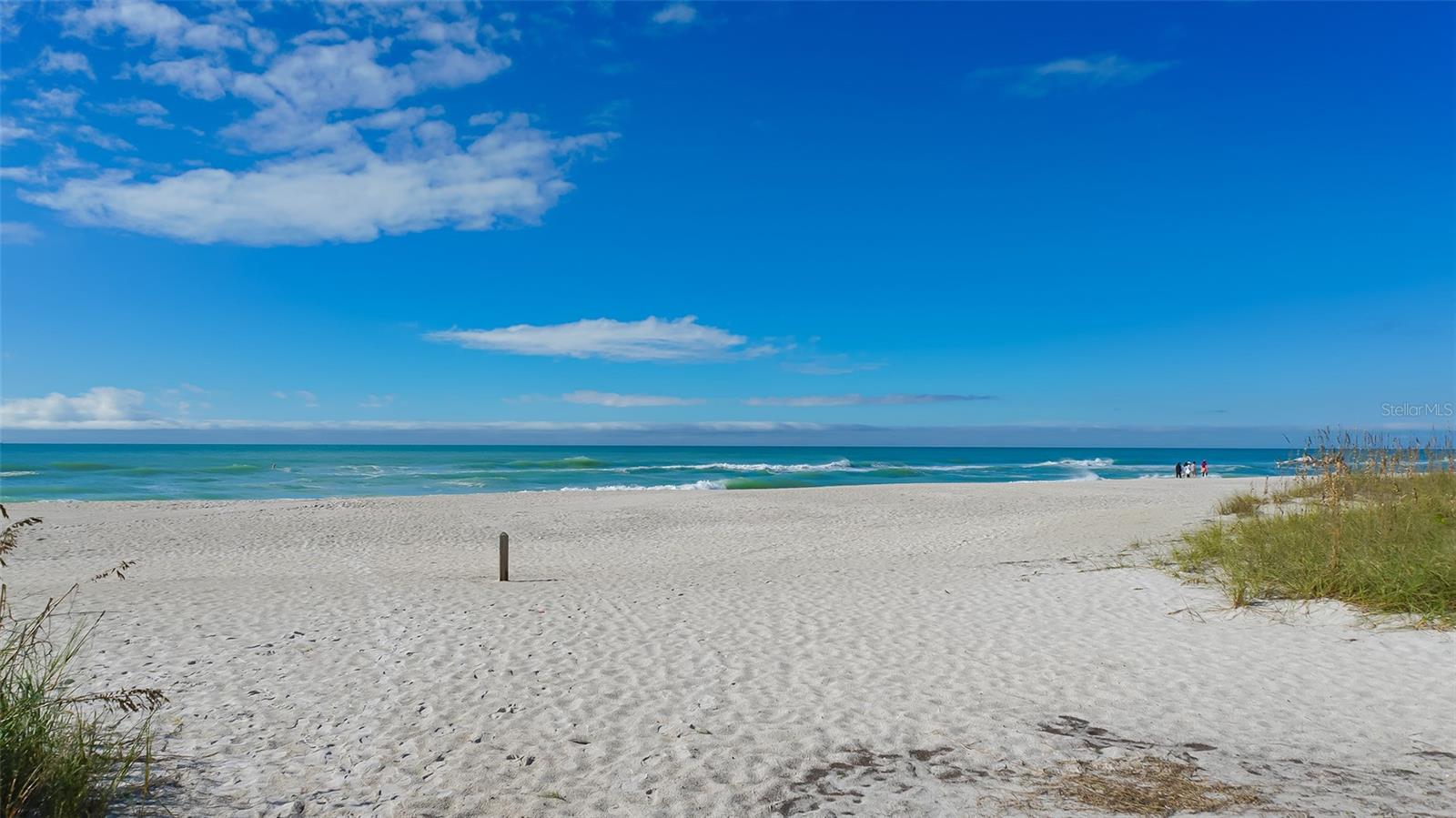 PALMA SOLA PARK - Residential Lease