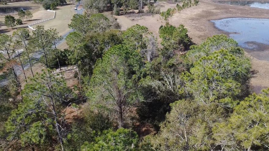 Build your custom dream home in the highly sought-after Clearwater Reserve, a gated, horse-friendly community surrounded by natural beauty and conservation areas. This beautiful homesite offers 1.75 acres of buildable land plus 0.62 acres of wetlands, providing privacy and serene views with no rear neighbors.

Enjoy the flexibility of a 2,000 sq. ft. minimum build with no time limit to build and bring your own builder. Underground utilities are in place, and the community features tennis courts, a fishing lake with dock, and peaceful country-style living.

Ideally located just minutes from the public boat launch to the Harris Chain of Lakes, golf courses, Hwy 27, and the Florida's Turnpike, offering easy access to Orlando, Clermont, and Leesburg.

If you’re looking for space, privacy, and a gated community that blends nature with convenience — this is the one.