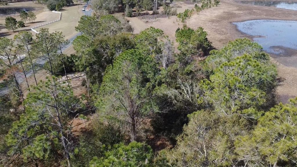 Photo of Bonsmara Drive, Leesburg, FL 34748 (MLS # O6385105)