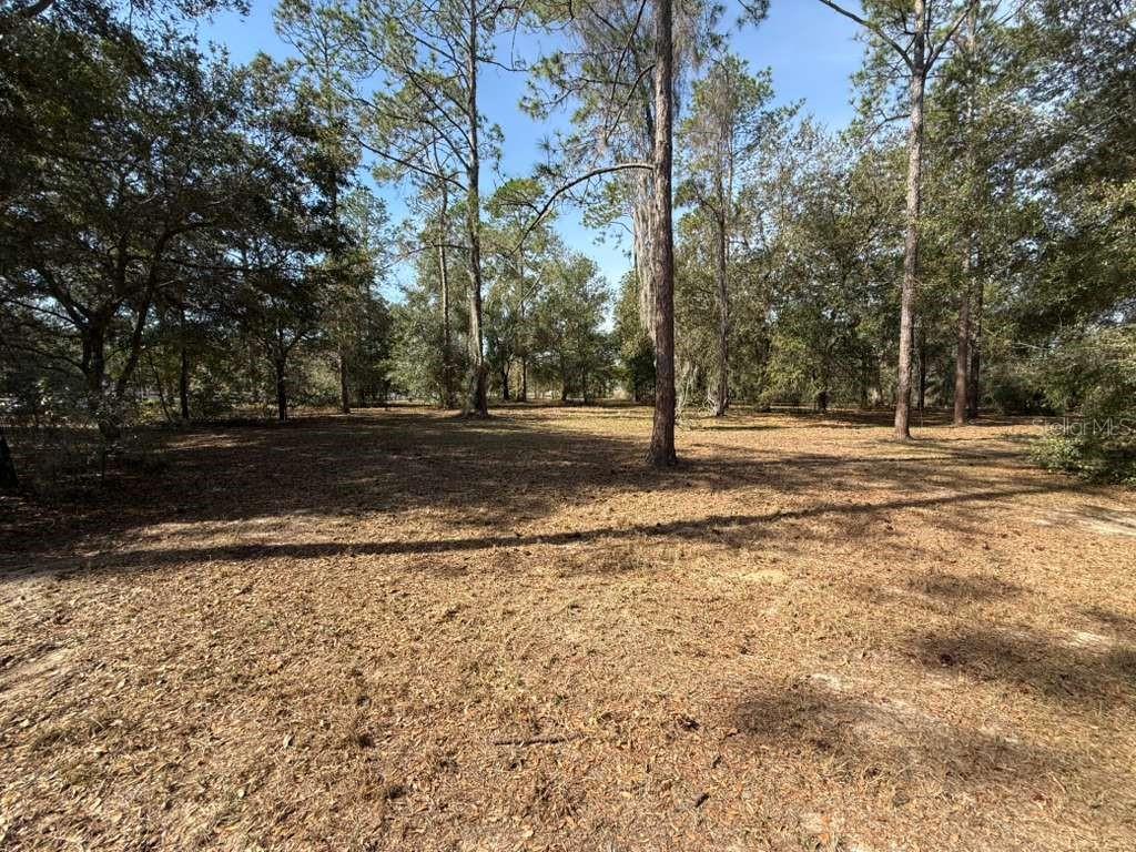 CLEARWATER RESERVE PH I SUB - Land