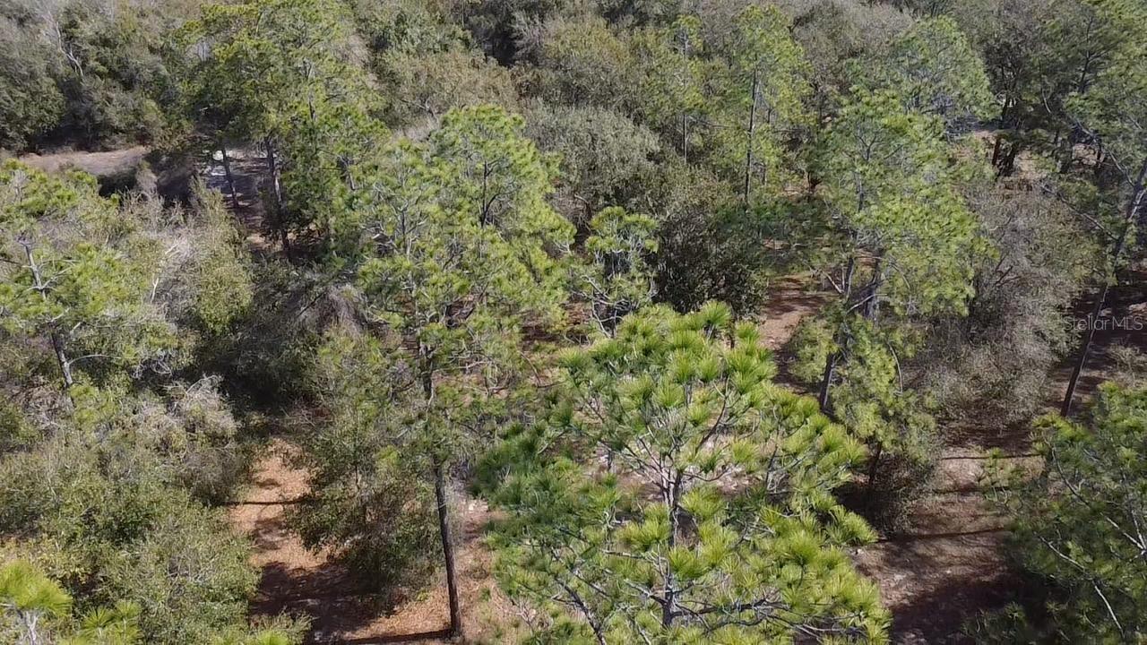 CLEARWATER RESERVE PH I SUB - Land