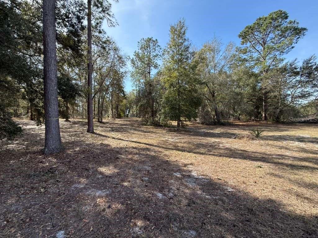 CLEARWATER RESERVE PH I SUB - Land