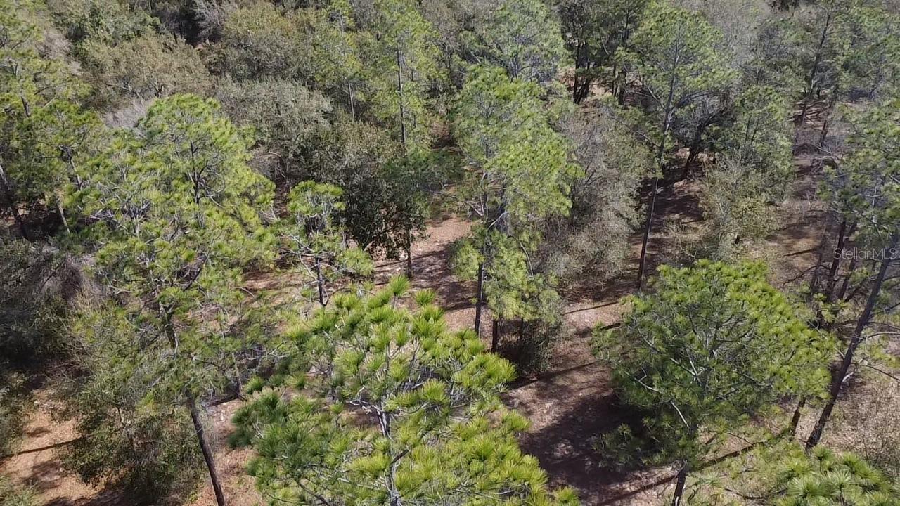 CLEARWATER RESERVE PH I SUB - Land