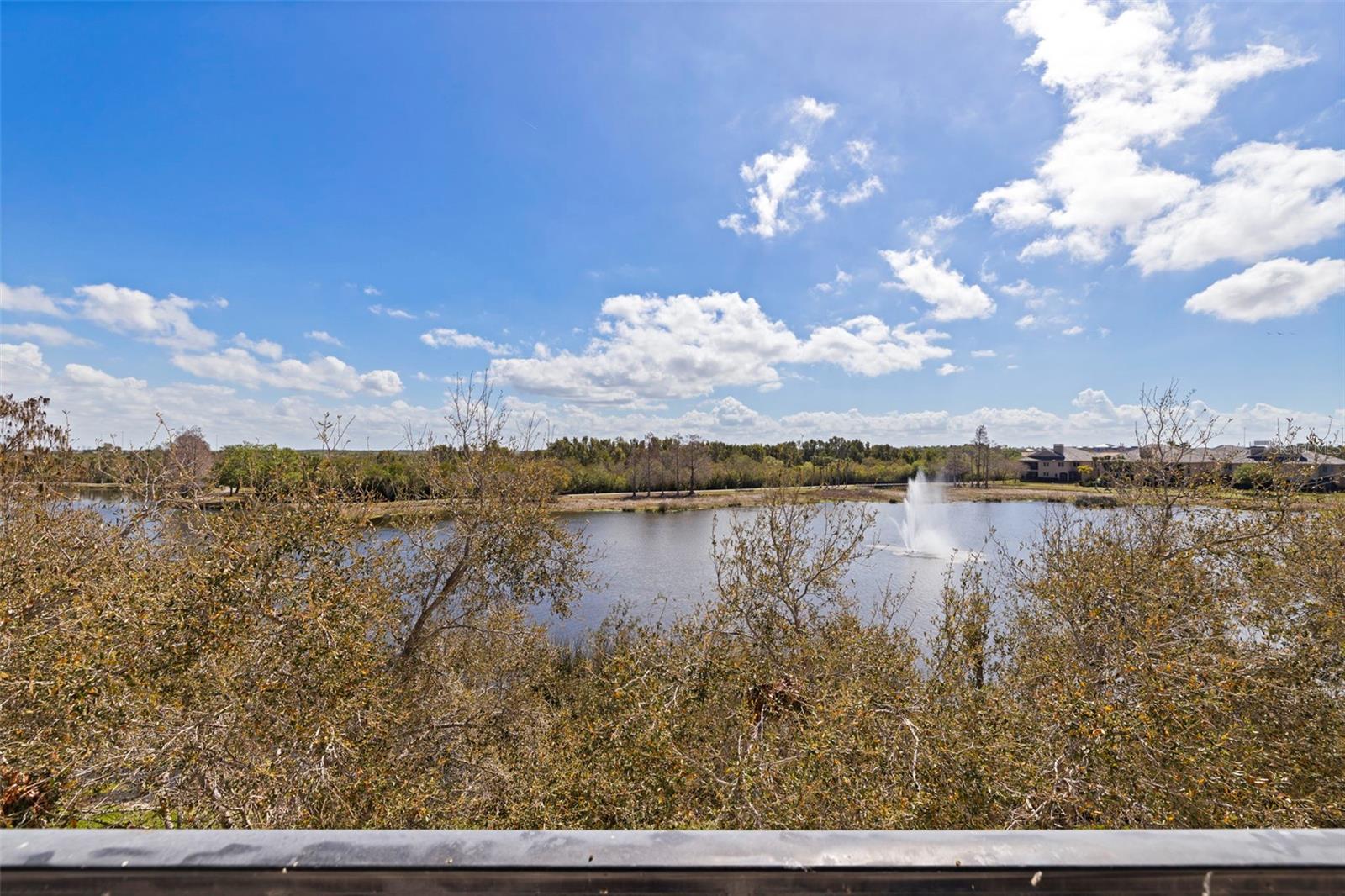 BACK BAY AT CARILLON - Residential