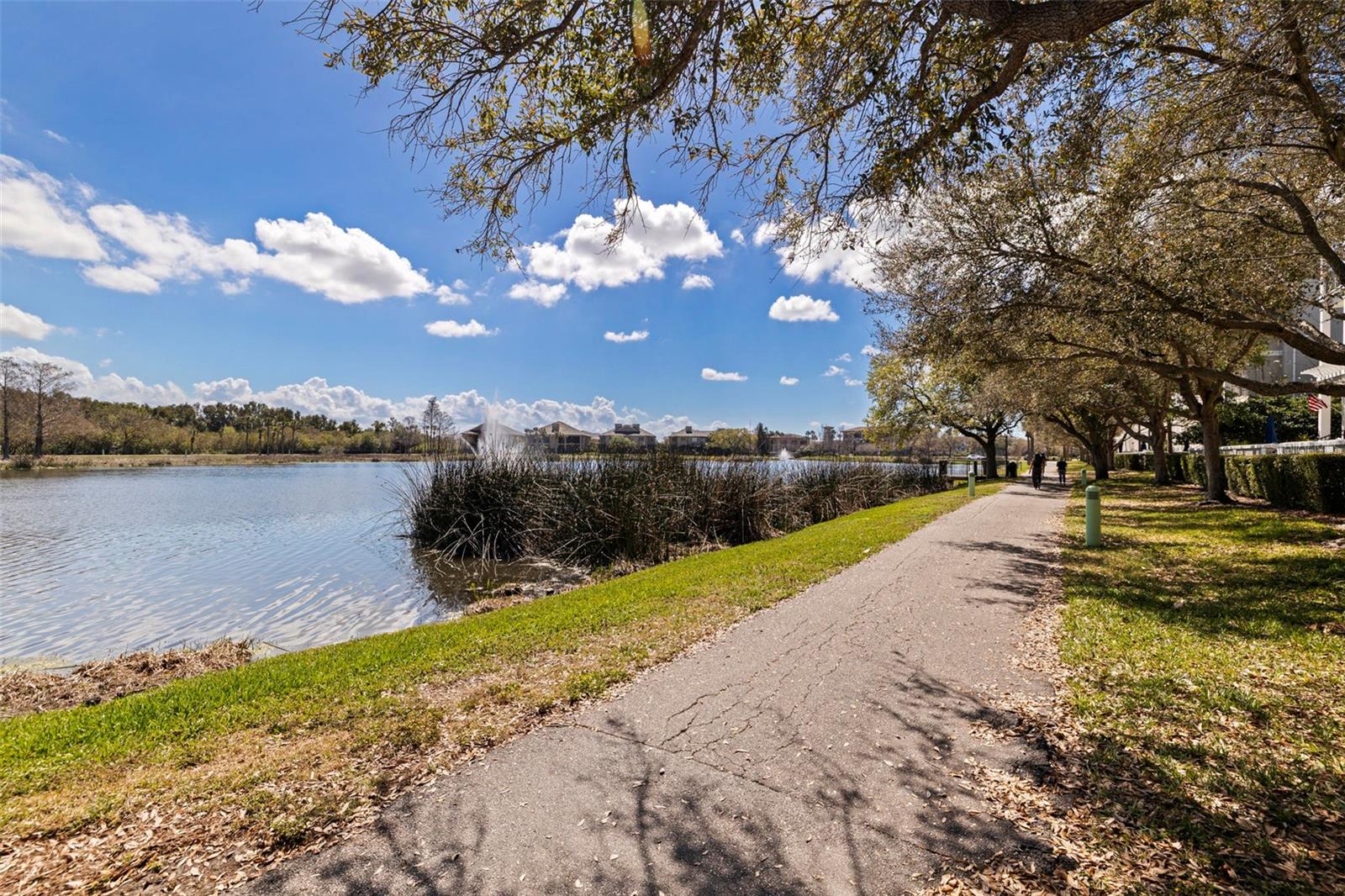 BACK BAY AT CARILLON - Residential