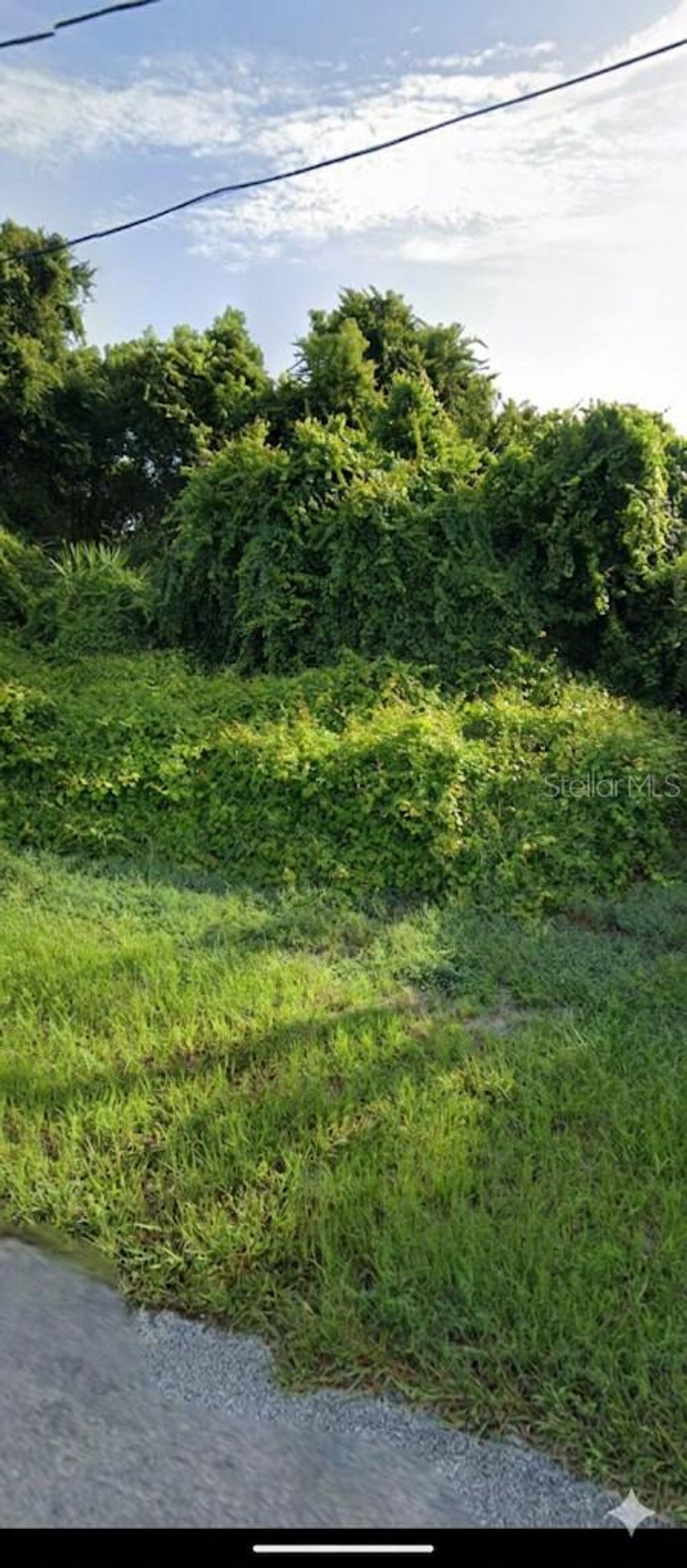 Photo of 1371 Abagail Drive, Deltona, FL 32725 (MLS # O6408492)