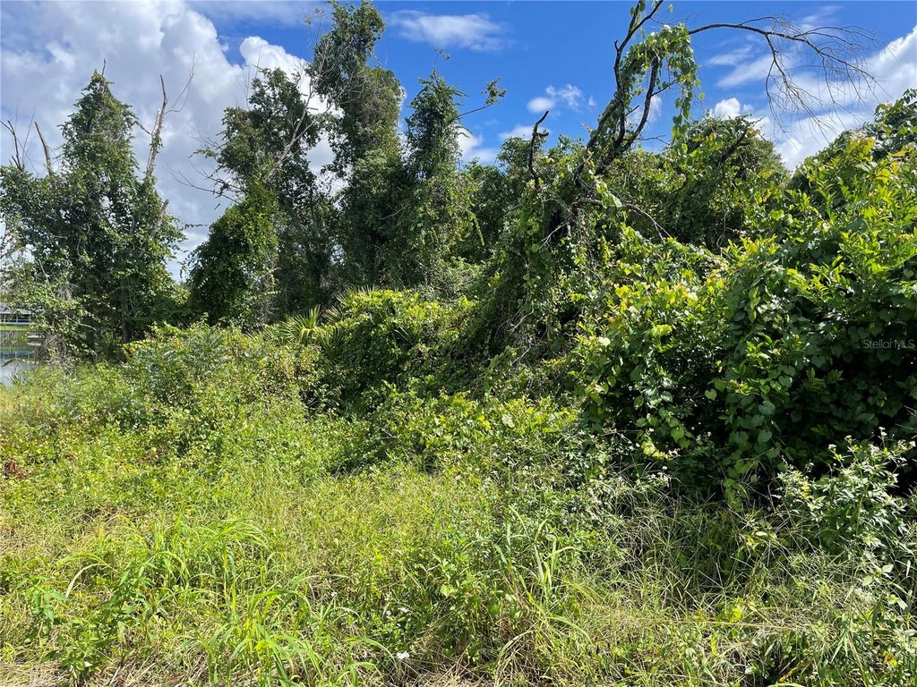 Photo of 1371 Abagail Drive, Deltona, FL 32725 (MLS # O6408492)