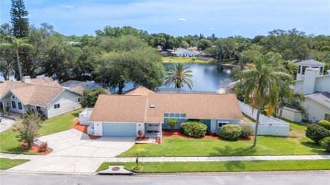 Photo of 5000 Lake Valencia Boulevard W, Palm Harbor, FL 34684 (MLS # TB8495761)