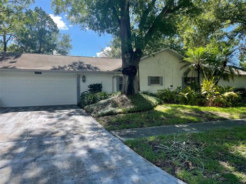 A home in TAMPA