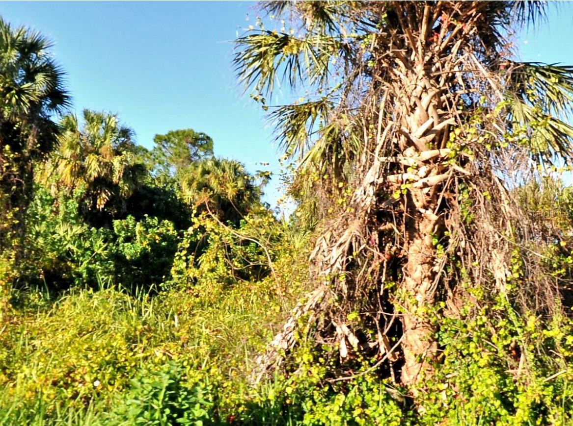 Buy to build or hold on to this vacant lot that sits on a canal nestled among an established neighborhood featuring many new built homes. Located in highly desirable, thriving city of North Port. Centrally located close to everything, US 41, I75, schools, shopping, golfing, and dining. Approximately 30 minutes to the pristine Gulf Shore beaches.