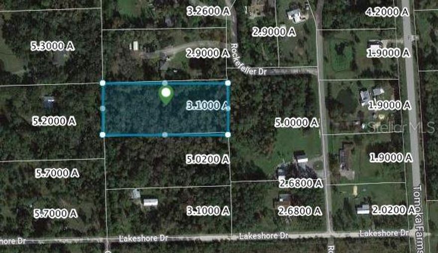 3.1 acres in total which allows for a secluded home to be built on Uplands buildable area of 0.31 acres in a small ranch community acceseeed by a ashort stretch of unpaved road. Located off SR415 close to Pioneer Trail, it is centrally loctaed withon easy reach of Port Orange and New Smyrna Beach.Uncleared, will need well and septic. Wetland Report and a detailed 50 page EPA report available. Call or text Andy at 386-314-9639 your onfo incl. email address for the full information package.
All info. contained herein deemed accurate, but to be verified by the purchaser.; Cleared: No