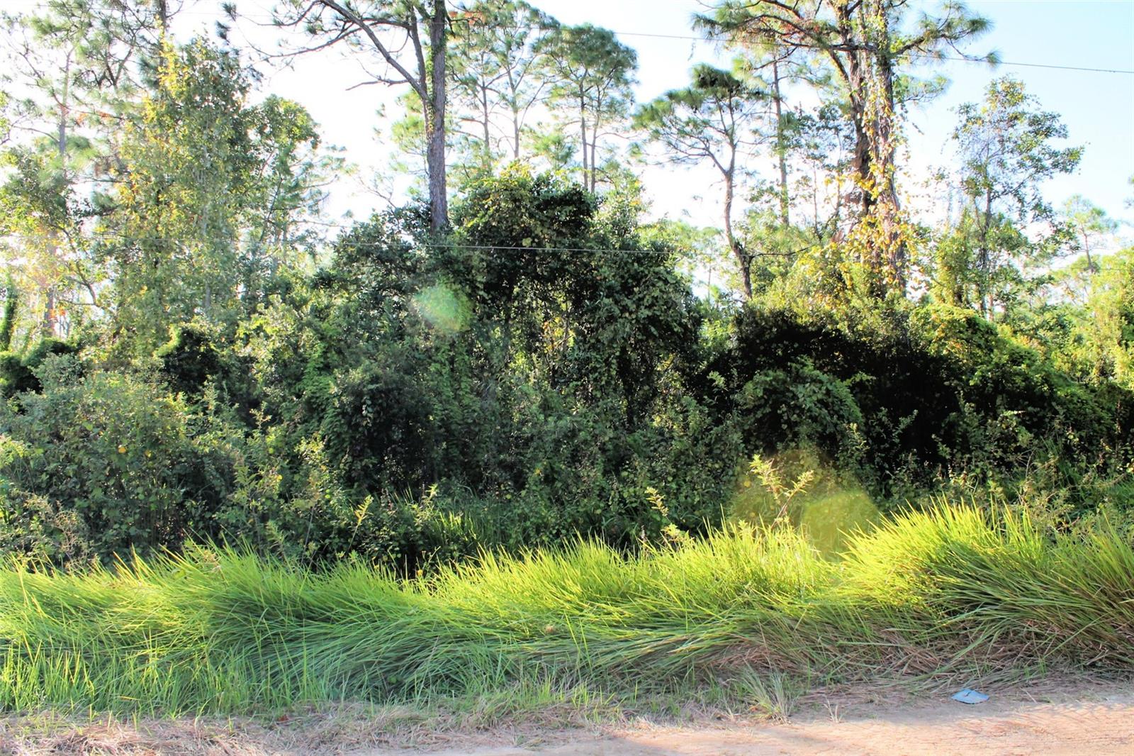 MONEYTREE RANCHETTES SUB - Land