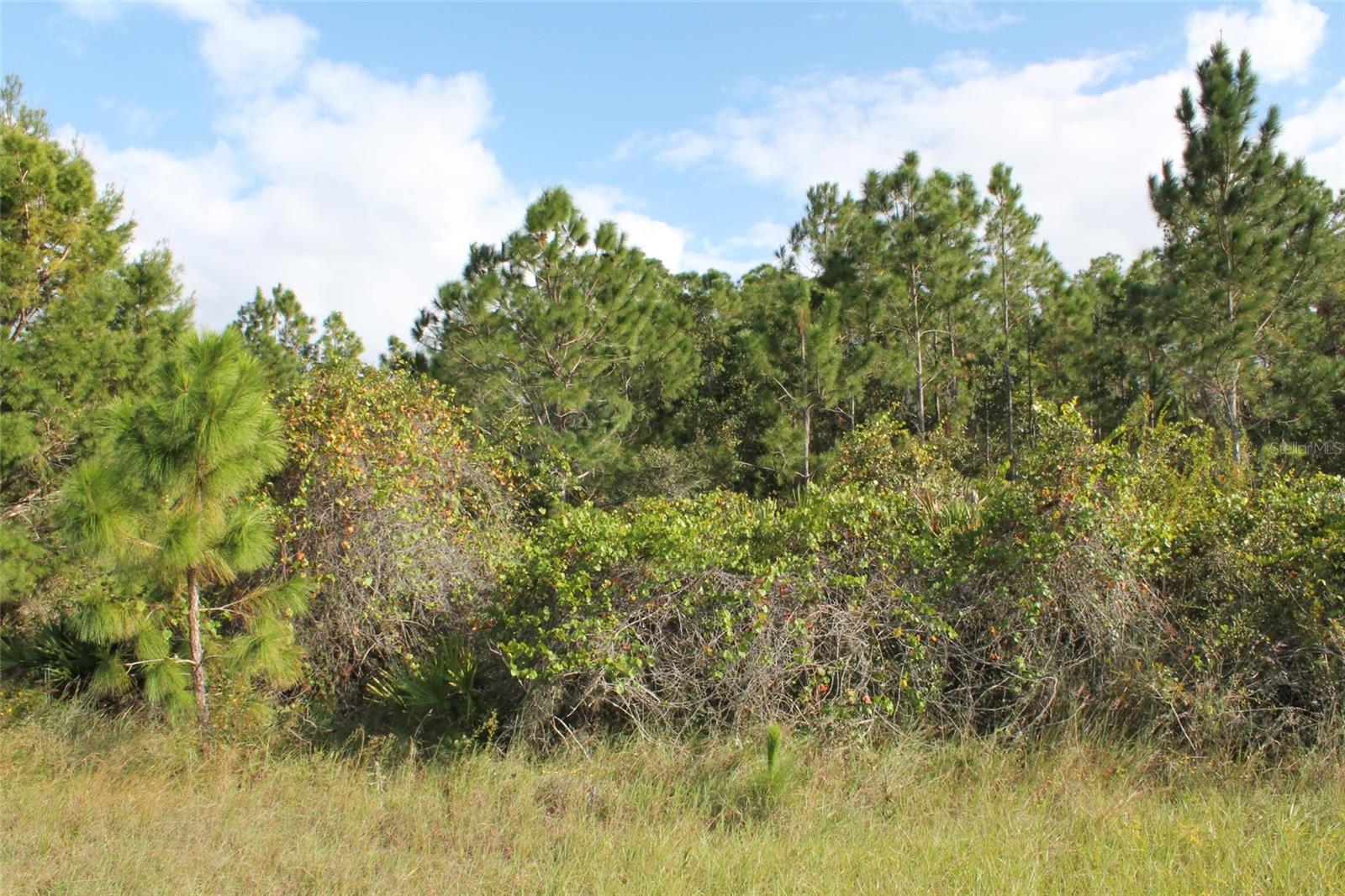 MONEYTREE RANCHETTES SUB - Land