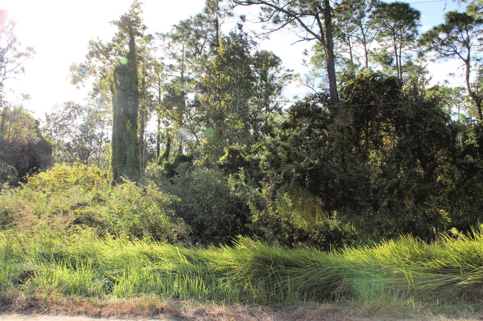 MONEYTREE RANCHETTES SUB - Land