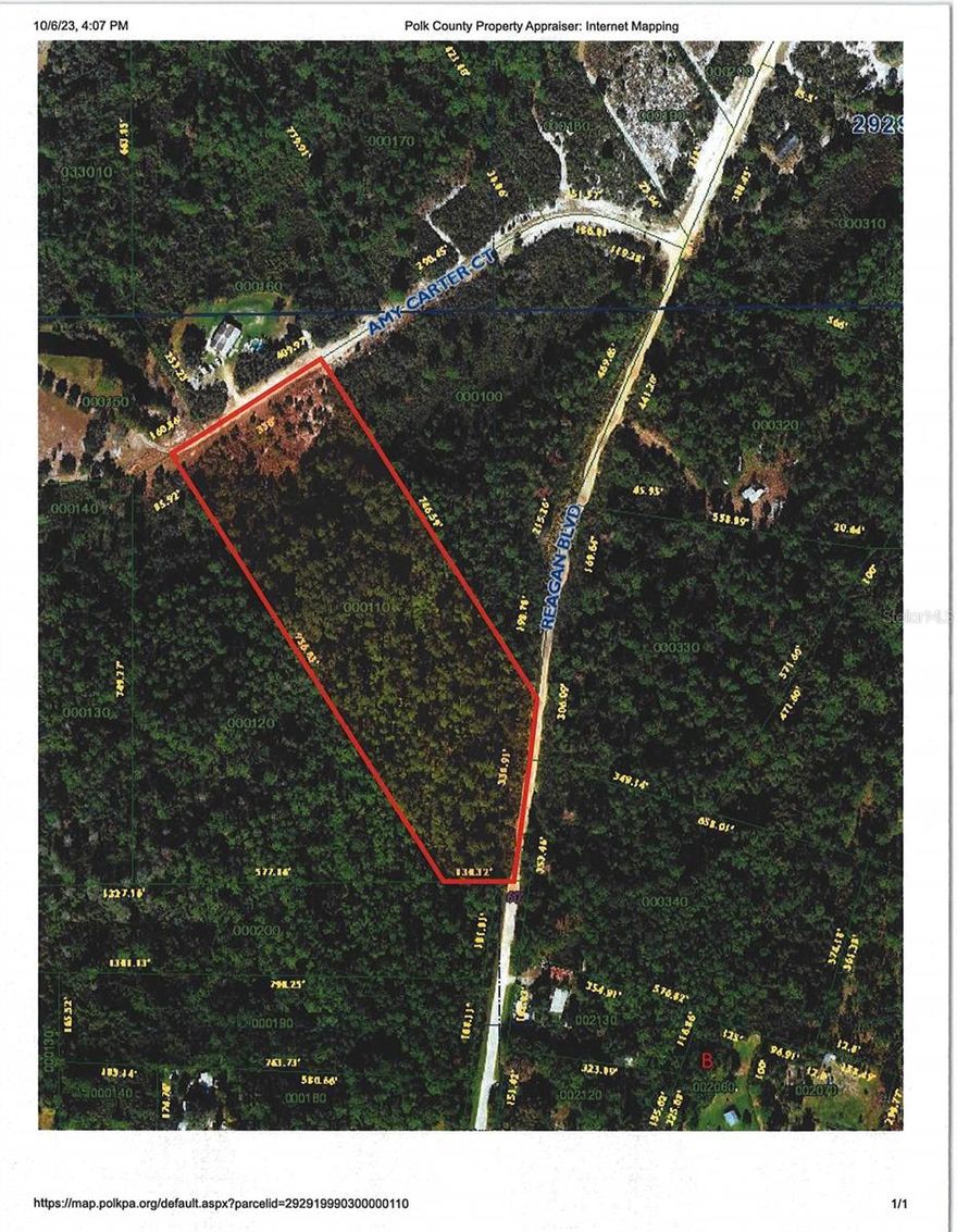 This is 6.89 acres zoned for a mobile home. The property has 330 feet of frontage on Amy Carter Ct but also has 338 feet of frontage on Reagan Blvd, in the subdivision known as Moneytree Ranchettes. The flood map indicates a possible wet area on the property. The buyer will need to install a well and septic system. Reagan Blvd becomes a dirt road.