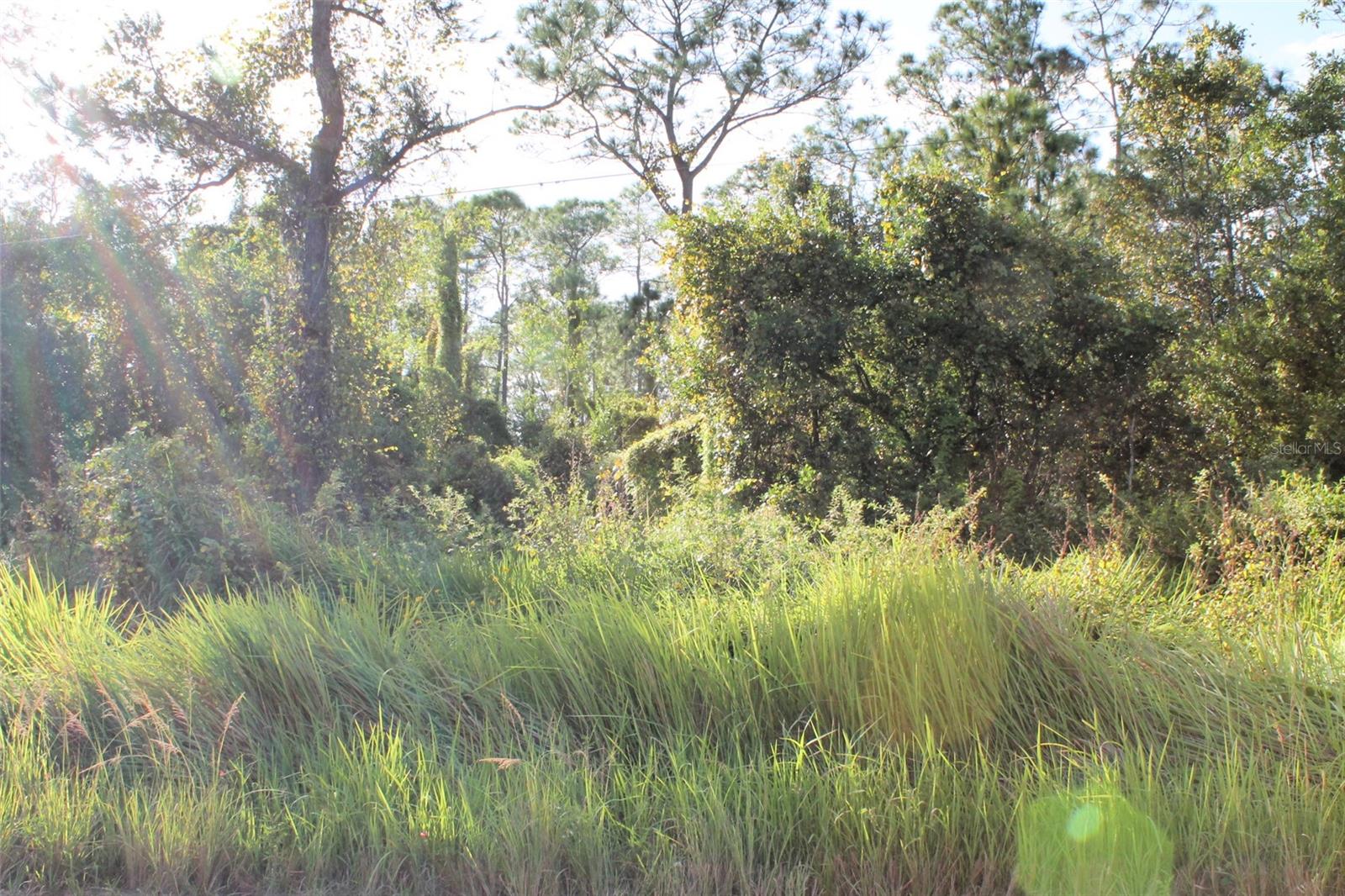 MONEYTREE RANCHETTES SUB - Land