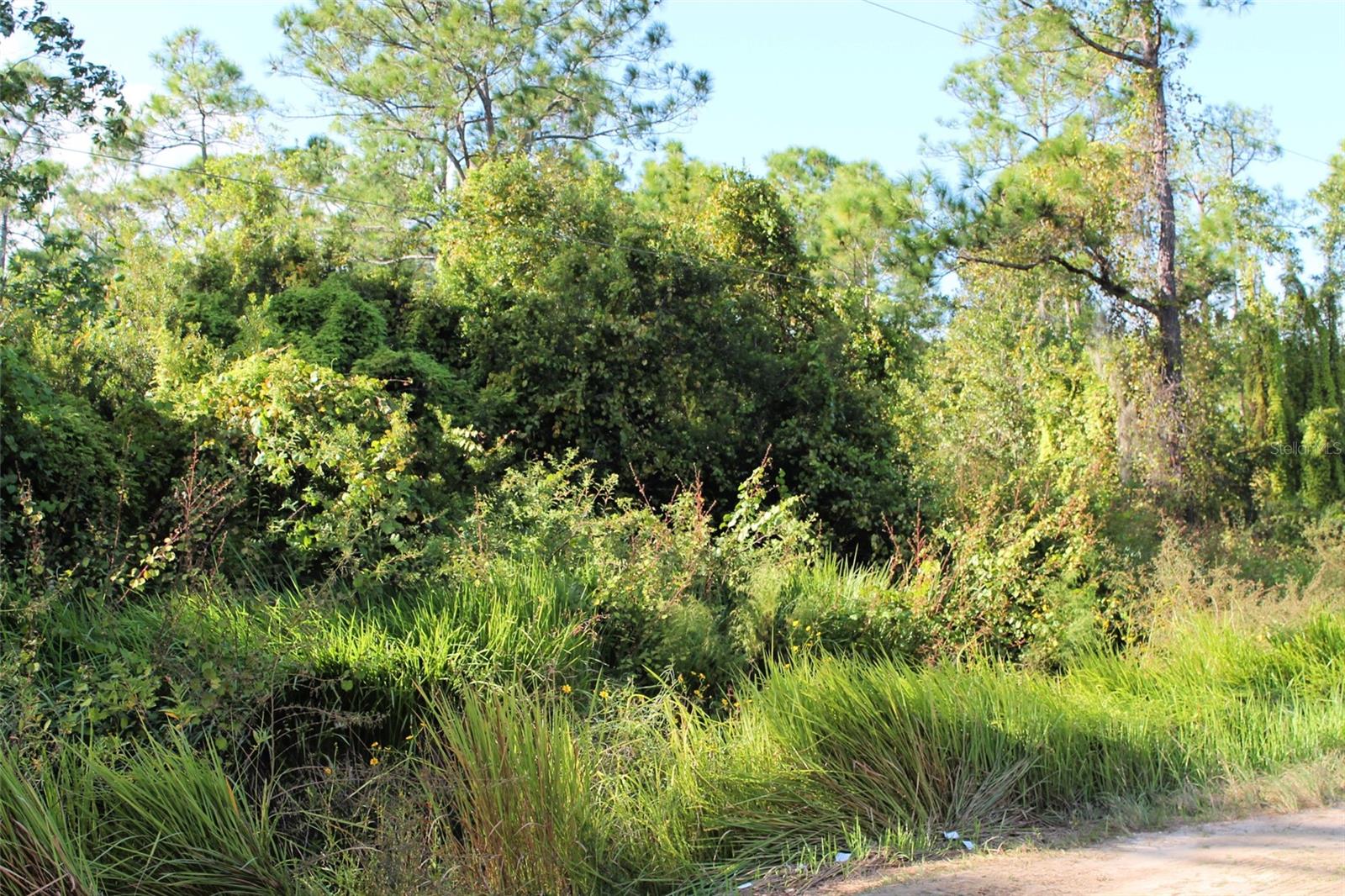 MONEYTREE RANCHETTES SUB - Land