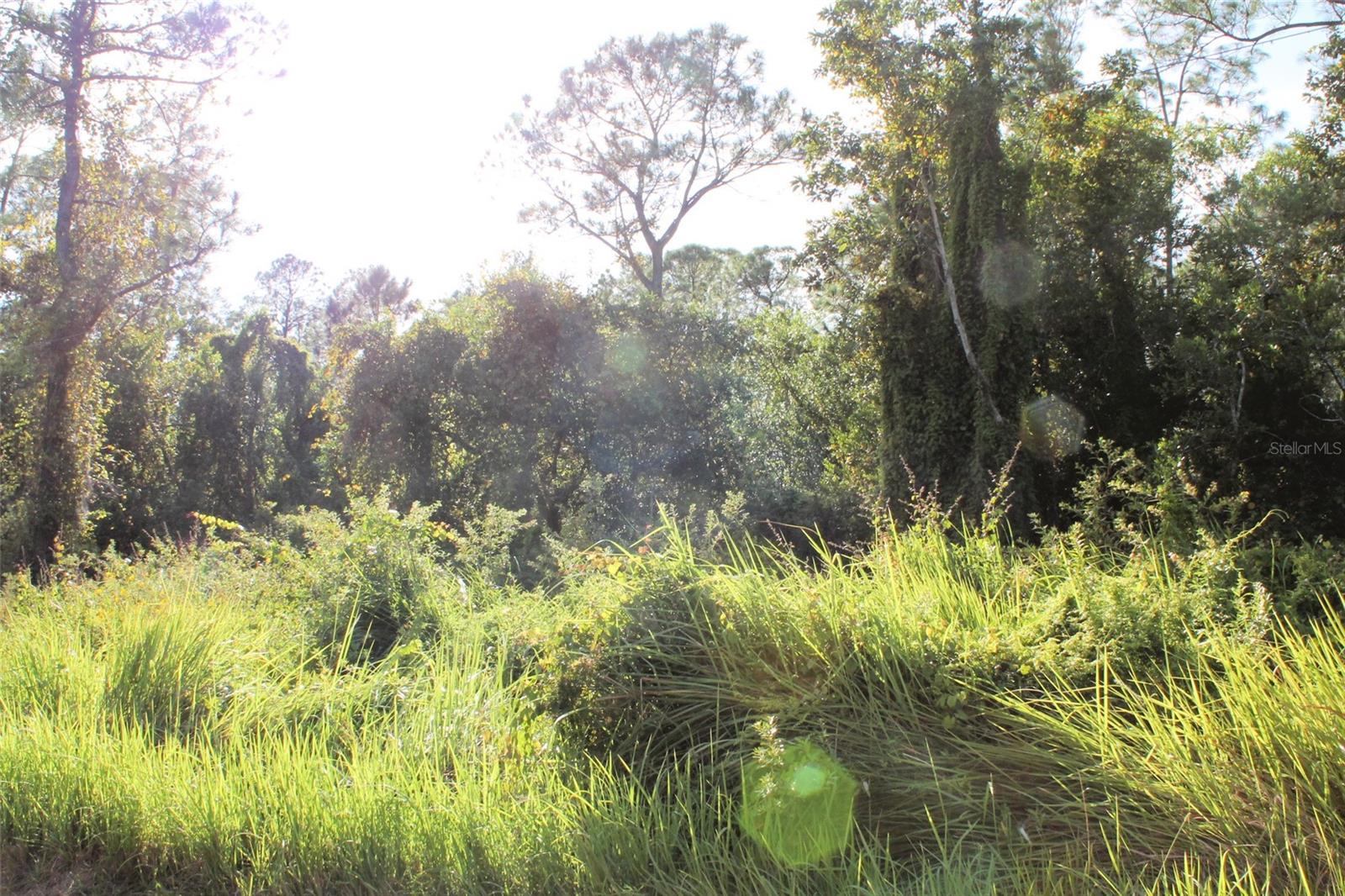 MONEYTREE RANCHETTES SUB - Land