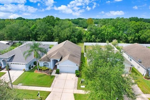 A home in WESLEY CHAPEL