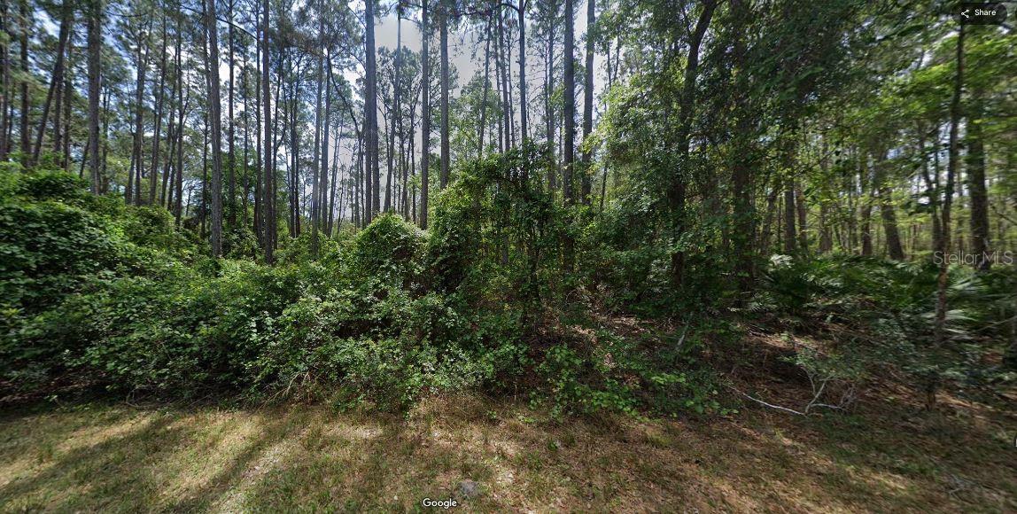 PARADISE LAKES SUB - Land