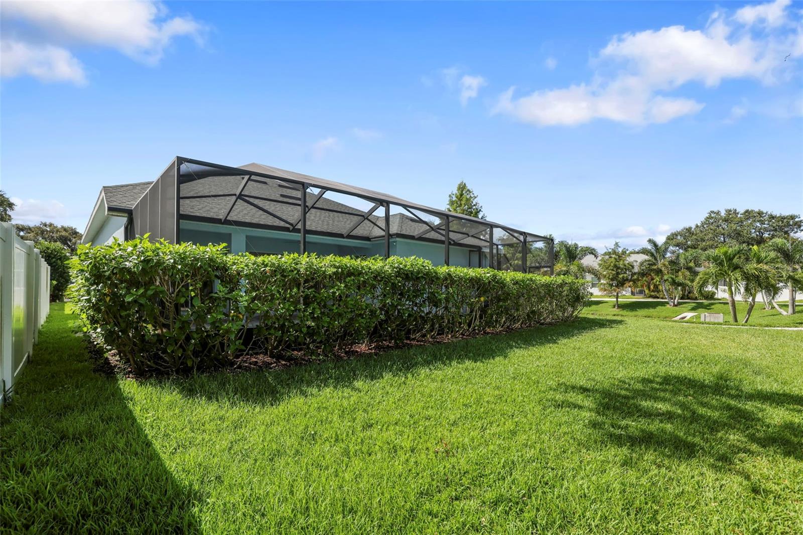 DUNEDIN COVE - Residential