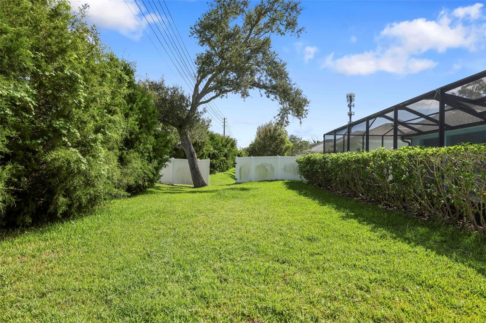 DUNEDIN COVE - Residential