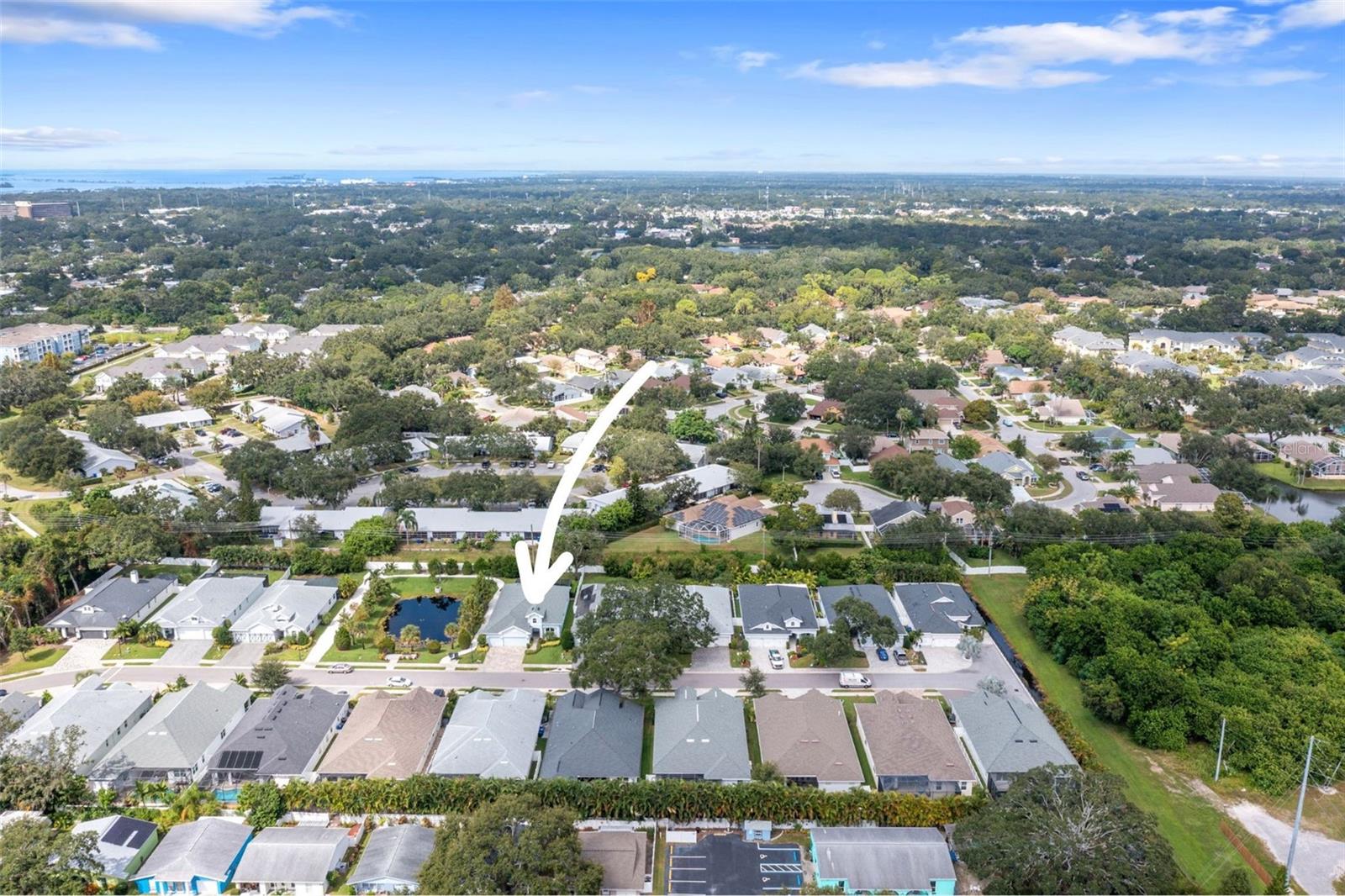 DUNEDIN COVE - Residential